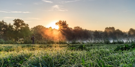 Dew and sunny fog  Landscape of the lake at Chateau Seehof in Bavaria, Germany, with the sun shining through the fogの写真素材