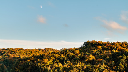 Idyllic Autumn Scenery with Colorful Orange Golden Trees near a lovely Country Road in the rocky Jura Mountains of Bavaria, Germany  Sunset in Fall with a wonderful clear sky in the rural countryside の写真素材