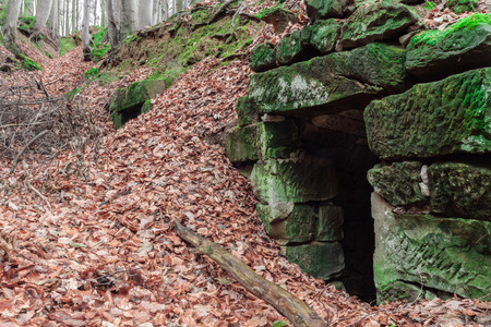 Forest in the Fall  Red leaves on the ground and green moss  Ancient Abandoned Ice Cellar in the Woods in Bavaria, Germanyの写真素材
