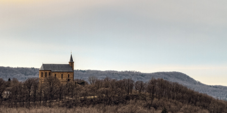 Winter Forrest  Red leaves on the ground, barren trees, sunrise through the woodsの写真素材