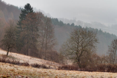 Rural Countryside in the Winter  Bavarian Hill Landscape  Hoar Frost on the Ground  Cold January  Barren Trees の写真素材