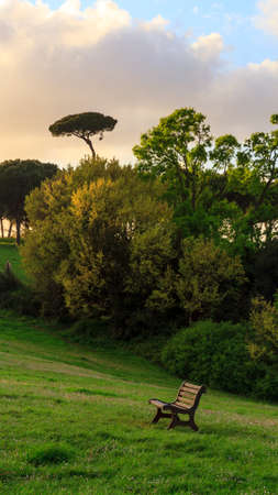 Rome City Park Sunset  Spring Picture with fresh vibrant colorsの写真素材