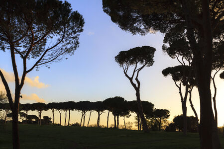Rome City Park Sunset  Spring Picture with fresh vibrant colorsの写真素材