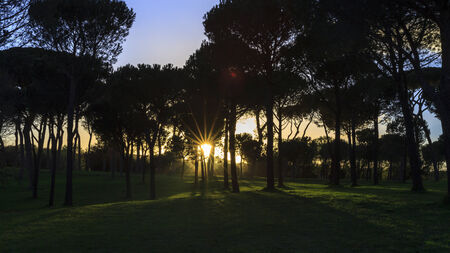 Rome City Park Sunset  Spring Picture with fresh vibrant colorsの写真素材