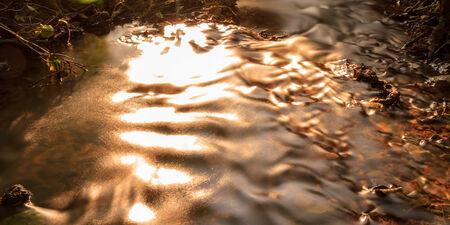 Picturesque Bavarian Summer Forrest Creek in the Sunset. Shot in the Woods of Upper Franconia, Germany. Gの写真素材