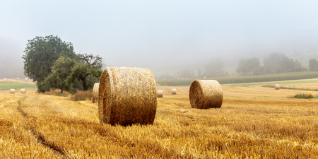 Hay Bales on a foggy morning in rural bavaria, Germany