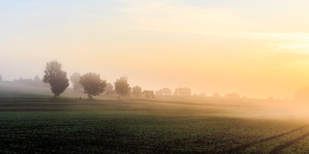 Foggy Morning Sunrise in Bavaria. Fog on the Ground. Late September Colors and Trees. Picuresque and Moody Atmosphereの写真素材