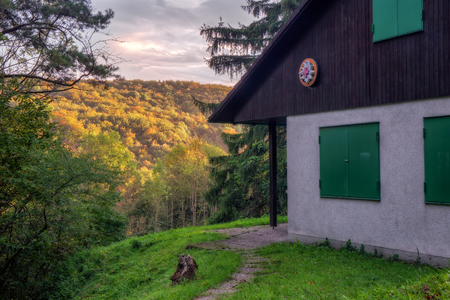 Enchanted Autumn Forrest Sunset. Sunrays in October. Golden Colors of the Fall. Lovely Evening Pictureのeditorial素材