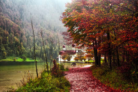 Idyllic Autumn Scenery at the lovely sea of kings in Berchtesgaden, Germany. Lovely colorful trees in Bavariaの写真素材