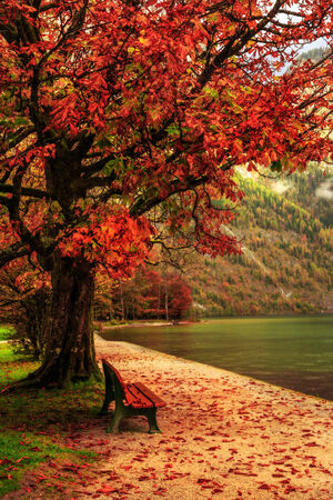 Idyllic Autumn Scenery at the lovely sea of kings in Berchtesgaden, Germany. Lovely colorful trees in Bavariaの写真素材