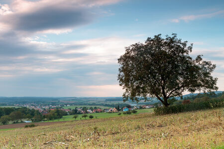 Landscape in Bavaria with barren fields and tree in the fallの写真素材