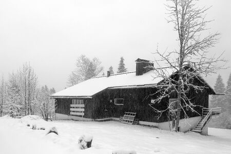 Mountain Hut in a Blizzard. German Feldberg Mountain in the black forest during a Snow Storm in Winterのeditorial素材