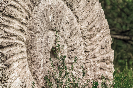 Round Fossil Stone with Workings