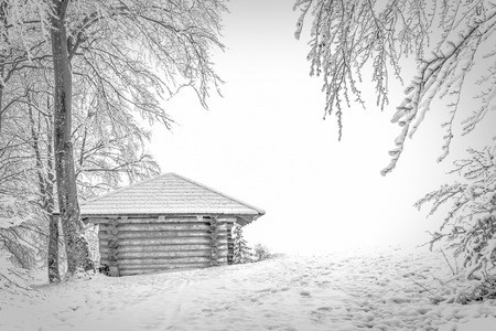 Cabin in the Woods. Old wooden Hut in the snowy winter woods of the black forest in Germany. Amazing snowed in trees and hill landscapeの写真素材