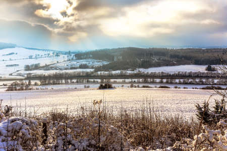 Cold snowy winter wonderland in the Black Forrest Region of Germany. Sweet Solitude. White and Lonely Landscape with trekking trails in the hill forestの写真素材