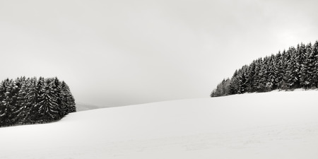 Cold snowy winter wonderland in the Black Forrest region of Germany. Sweet Solitude. White and Lonely Landscapeの写真素材