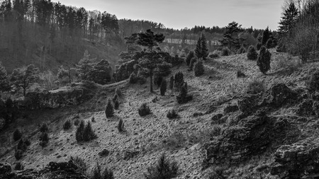 Landscape Image of Kleinziegenfeld Valley in Franconia, Germany in Springtimeの写真素材
