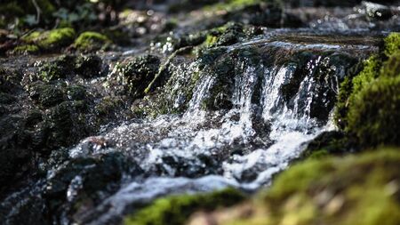 Early Spring in Franconia, Germany. Still Barren landscape with first vegetation of the yearの写真素材