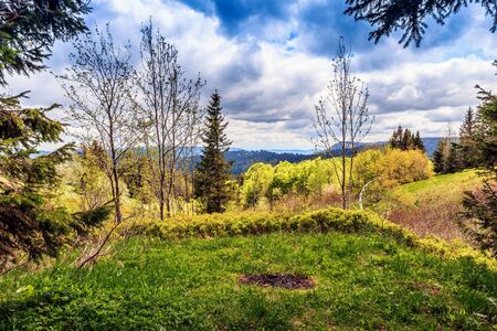 Feldberg Mountain in Germany in Spring. Lovely Hills and Forests. Blue cloudy sky. Fantastic Landscapeの写真素材