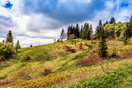 Feldberg Mountain in Germany in Spring. Lovely Hills and Forests. Blue cloudy sky. Fantastic Landscapeの写真素材