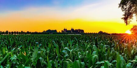 Hot Summer Sunset at Lake Seehof in Franconia, Germany. Lovely silhouettes and warm vibrant colorsの写真素材