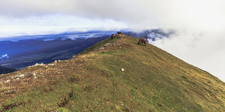 Sheeps grazing in the Karwendel Mountain Range. Alpine herd on a mountain top in Tyrol, Austria on a lovely late summer eveningの写真素材
