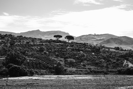 Elegant Black and White Hill Landscape of the Sicily countryside near Roccapalumba on a warm october afternoonの写真素材