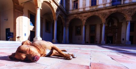 MAZARA, ITALY - NOVEMBER 07 2015: Mediterranean City of Mazara on a warm autumn dayのeditorial素材