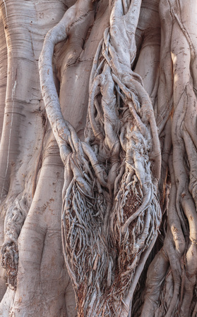 MONREALE, ITALY - JANUARY 05 2016: Outdoor City Shot of the mediterranean city of Monreale on Sicily in Italy, Europe on a warm and sunny Winter Dayのeditorial素材