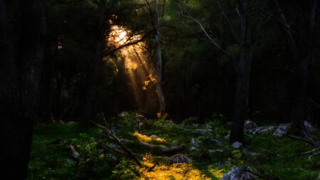 Wandering in the Hills of Palermo, Italy at Monte Pellegrino on the island of Sicily. Hiking Trip in January with an amazing view on the green islandの写真素材