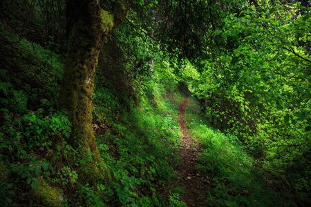 Green Inferno. Sicilian Spring Hills Landscape. Lovely green hills and picturesque nature at...