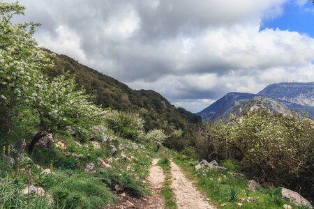 Green Hill Landscape in Central Sicily near Cammarata Mountain in Spring. Hiking in the Sicilian...