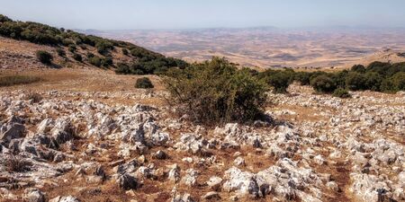 Hiking in the Hills of Ficuzza, Sicily in Italy, Europe. Warm summer like September Afternoon