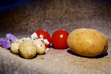 Easter eggs on a beautiful background.の写真素材