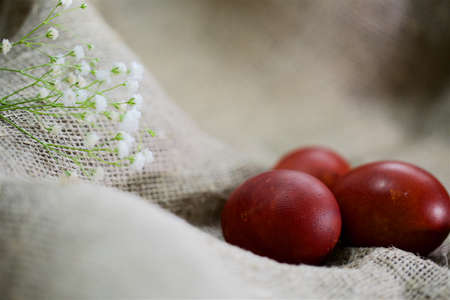 Easter eggs on a beautiful background.の写真素材