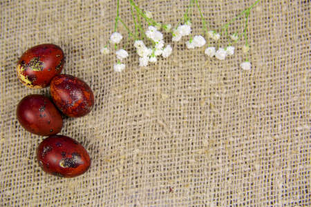 Easter eggs on a beautiful background.の写真素材