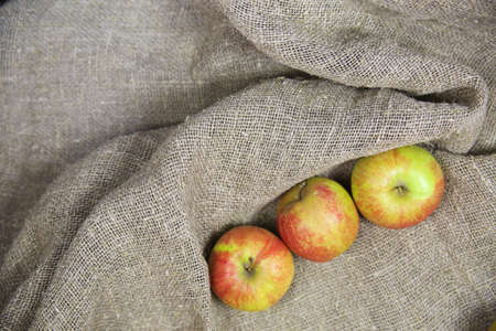 the apples on the background of the canvas.の写真素材