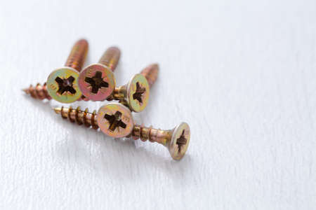 Self-tapping screws on a light background.の写真素材