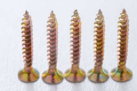 Self-tapping screws on a light background.の写真素材