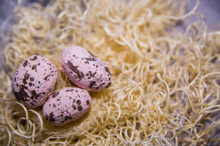 Easter eggs on a beautiful background.の写真素材