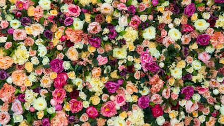 Beautiful flower field yellow green white pink purple and red lot of roses and peonies stand inの写真素材