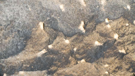 the background is grey, yellow and black stone.