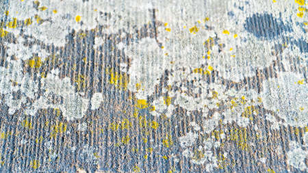 Abstract colorful cement wall texture and backgroundの写真素材