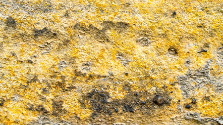 Background of old yellow stone texture.の写真素材