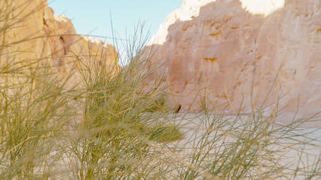 Egypt texture colored canyon in Sunny weather.