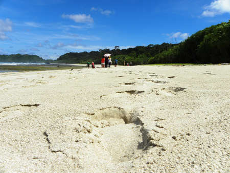 FOOT TRACE ON THE SANDの写真素材
