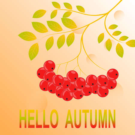 Hello autumn! Colored november leaves. Sketch, design elements. Vector illustration.のイラスト素材