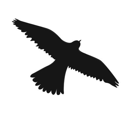 Eagle icon black color on white background.のイラスト素材