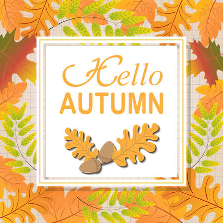 Hello Autumn text with yellow leaves of oak, maple, birch boardersのイラスト素材