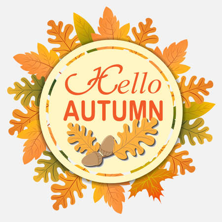 Circular Hello Autumn text with yellow leaves of oak, maple, birch.のイラスト素材